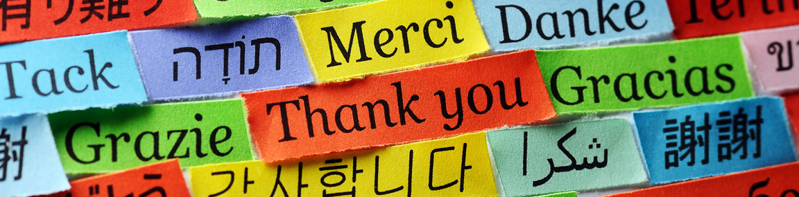 Which 2nd foreign language should I choose for studies and career?